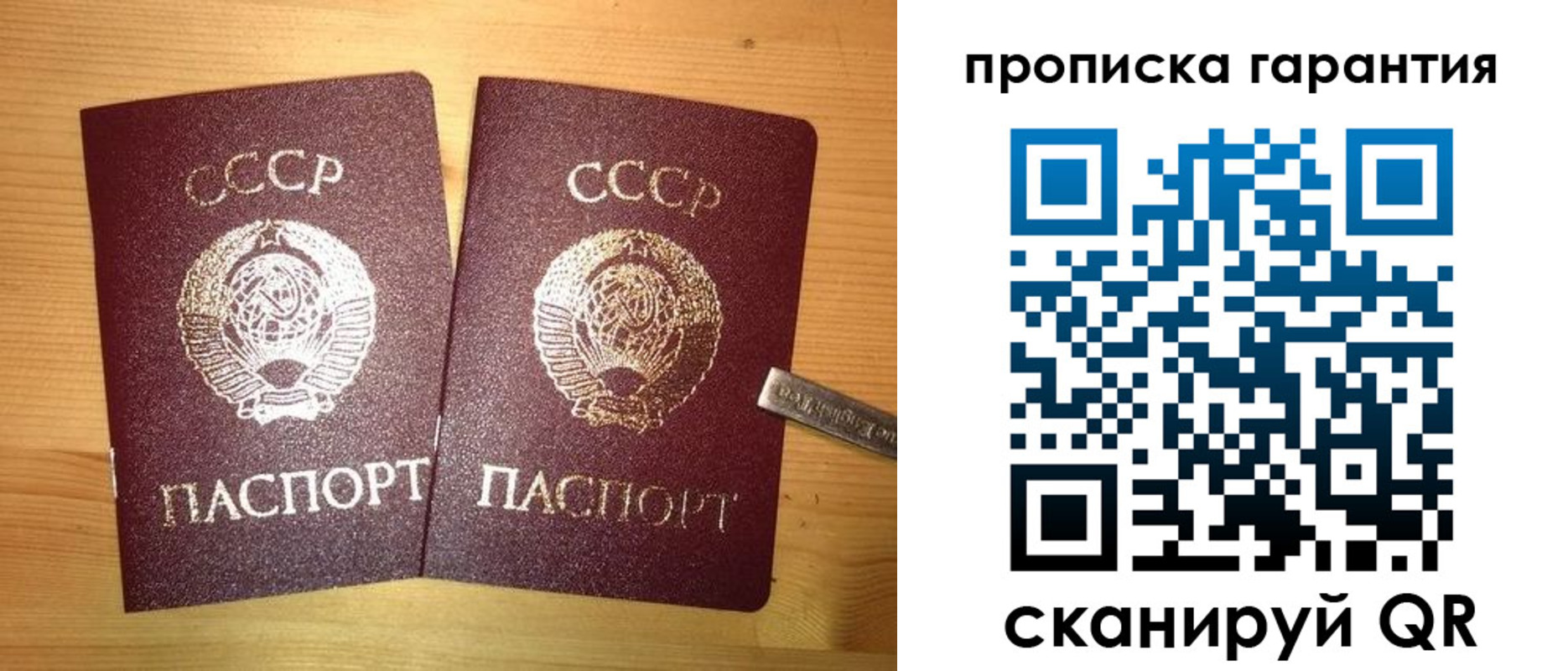 прописка паспорт в Вологде